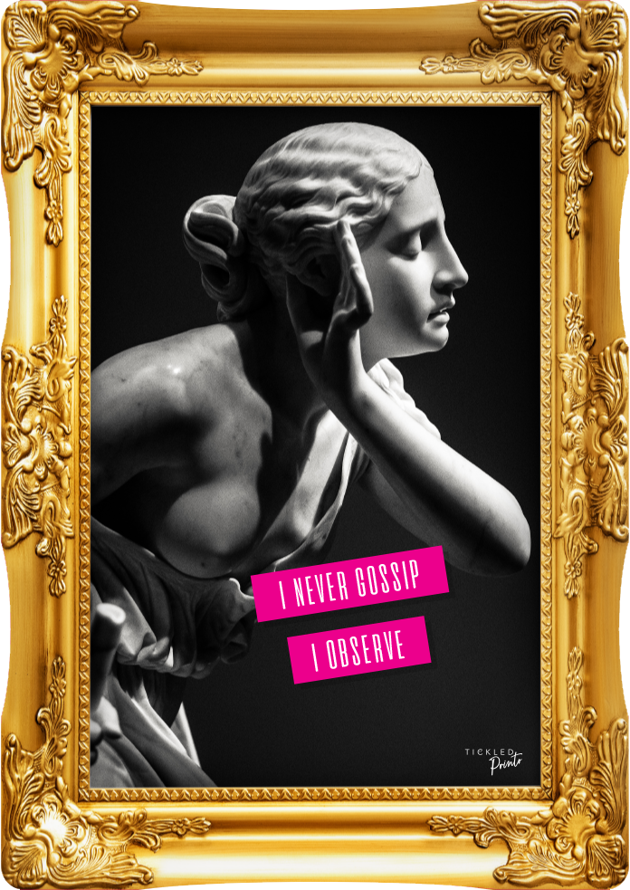 I Never Gossip I Observe | Wall Art Print